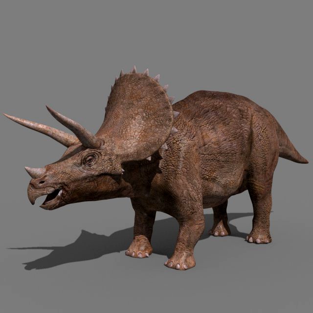 Triceratops Tribute - 8K