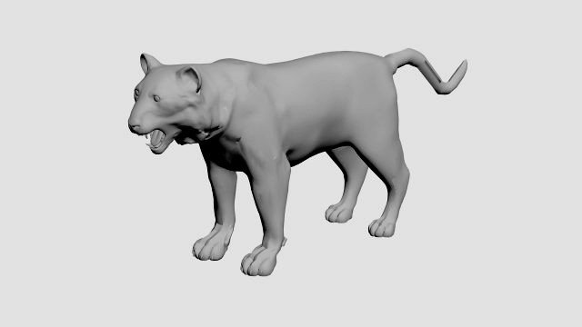 Tiger