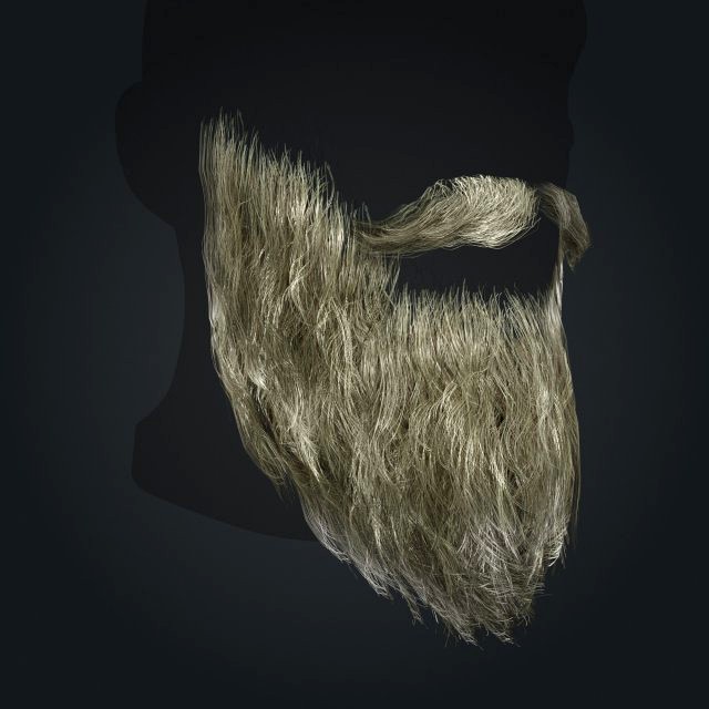 Beard RealTime 2 Version 2