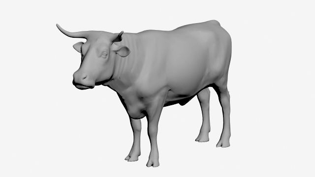 Ox