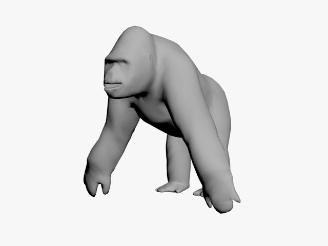 Gorilla