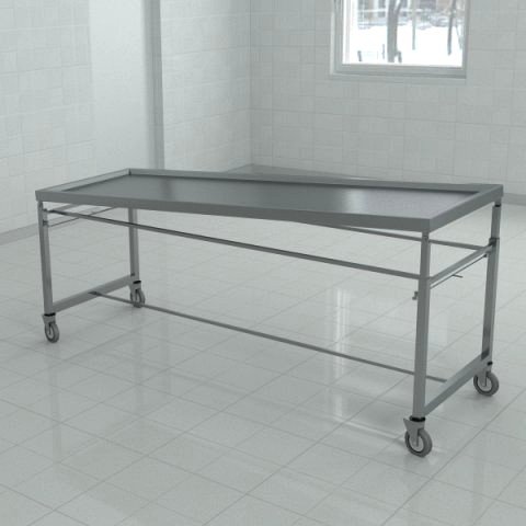 Washing and autopsy table