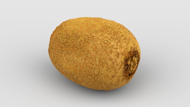 Kiwi Fruit