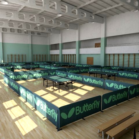 Table Tennis Arena 2