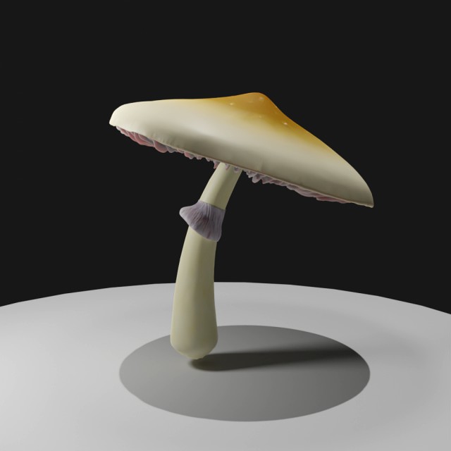 Psilocybe Cubensis Mushroom