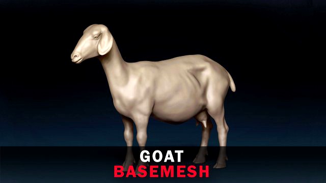 Goat Base Mesh