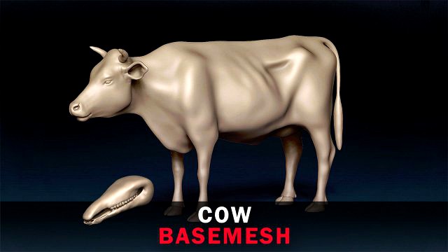 Cow Base Mesh