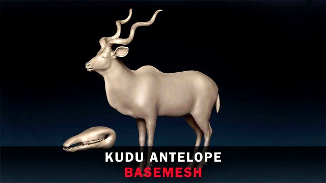 Kudu Antelope Base Mesh