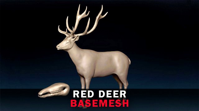Red Deer Base Mesh