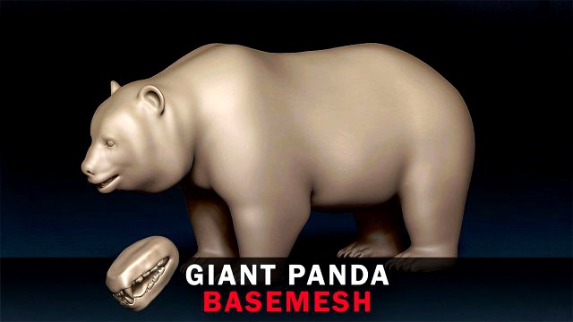 Giant Panda Base Mesh