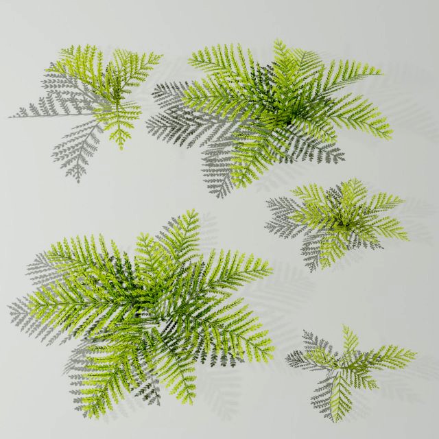 A small model of a low poly fern Hand drawn texture Set of 5 objects