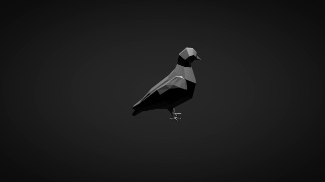 Low Poly Pigeon