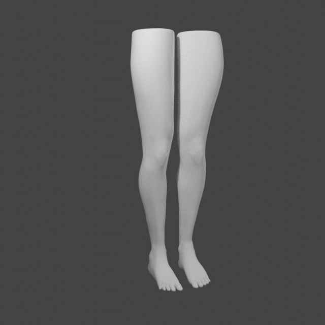 Female legs