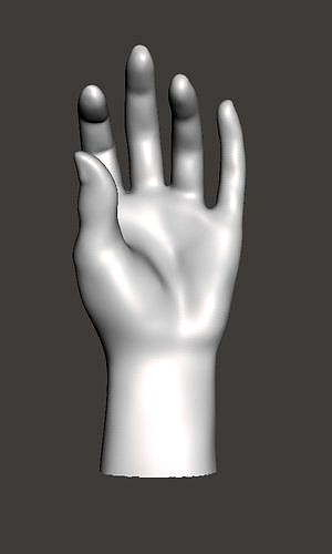 hand sculpture or display | 3D