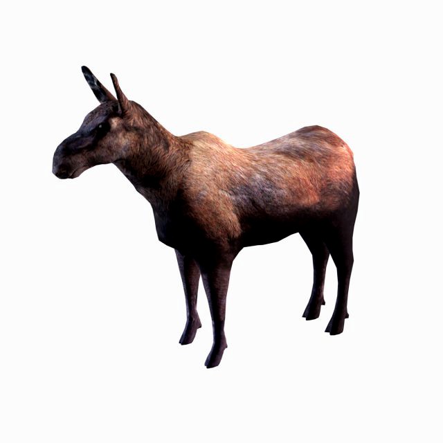 Moose
