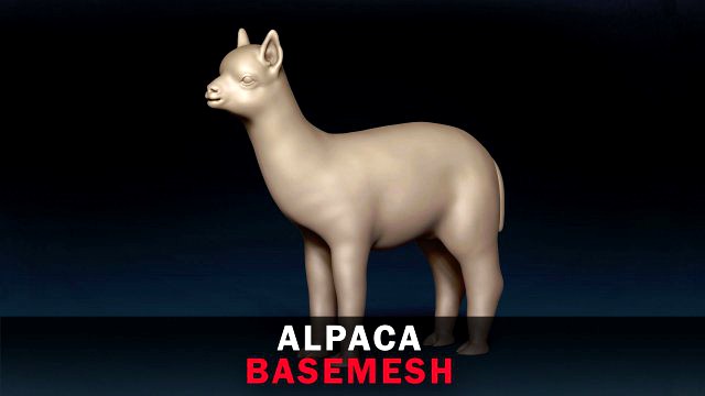 Alpaca Base Mesh
