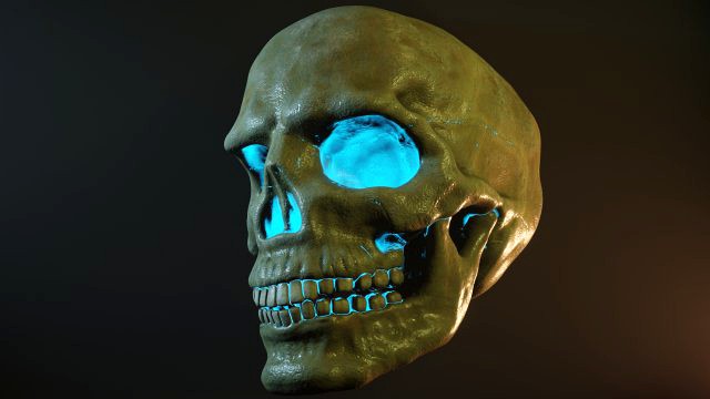 Human skull with fluorescence