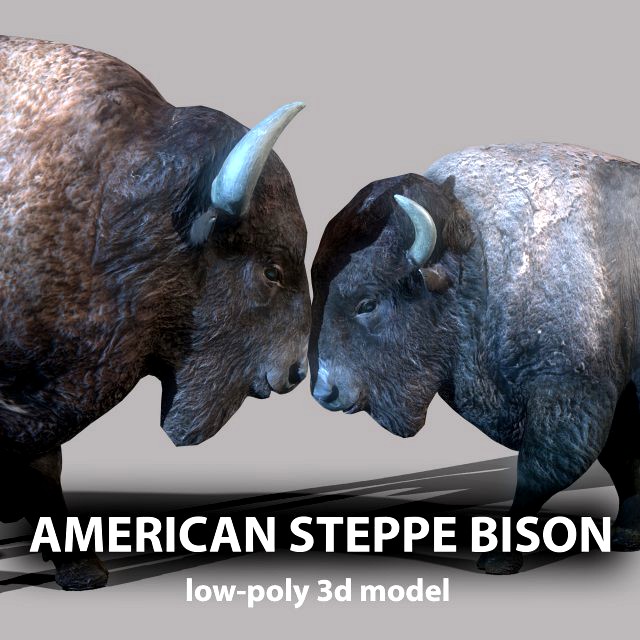 american steppe bison low-poly