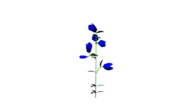 flowers low poly