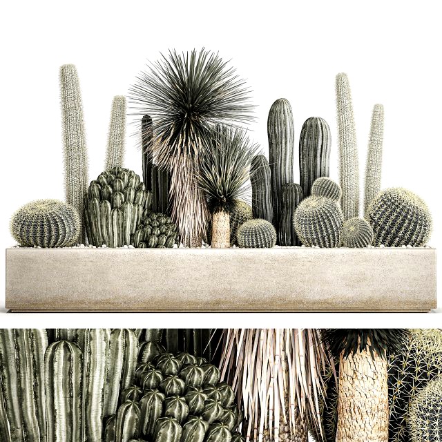 cactus set in a concrete flowerpot for the interior 1098