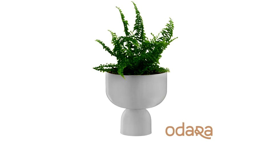 Cachepot Boreal