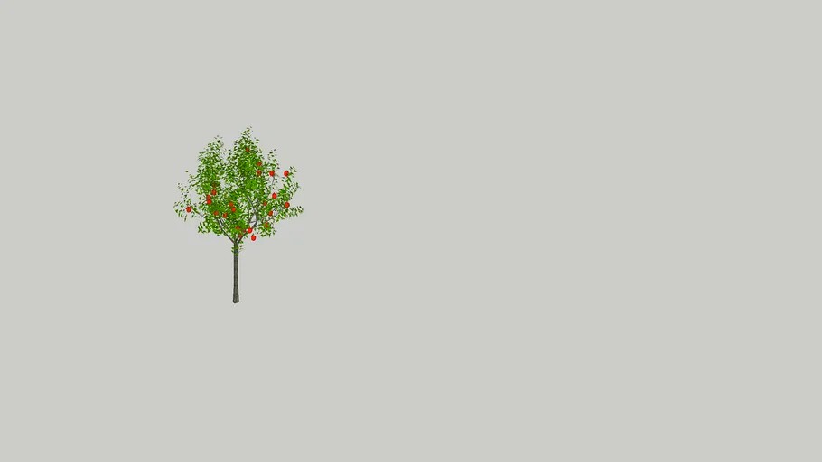 Apple Tree 3D