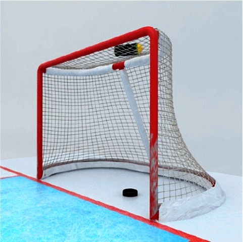 hockey goal