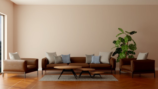 modern sofa set - interior 3d scene
