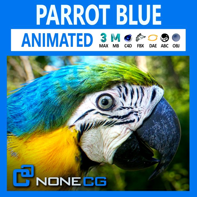 blue parrot animated