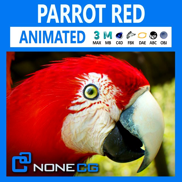 red parrot animated