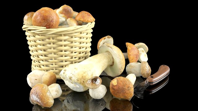 mushrooms in high quality with textures and materials just drop into your scenes and render