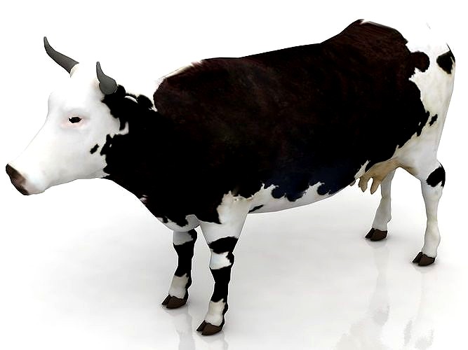 Cow 3D model