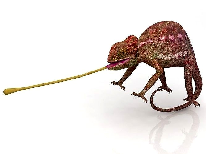 3D Chameleon model