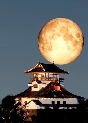 Inuyama Castle  japanese