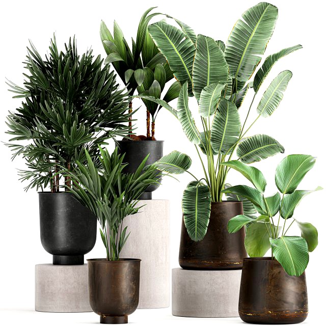 plants in a metal flowerpot for the interior 1088