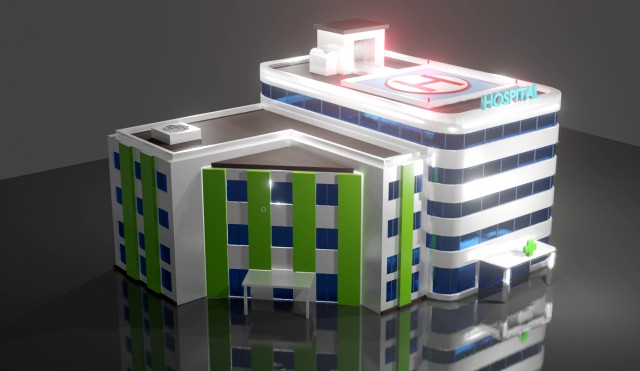 house hospital