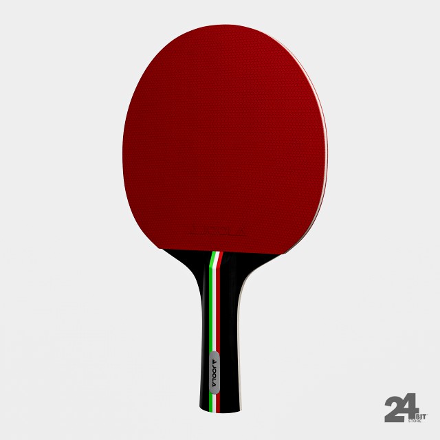 table tennis paddle