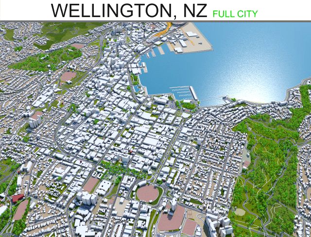 wellington city new zealand 50km