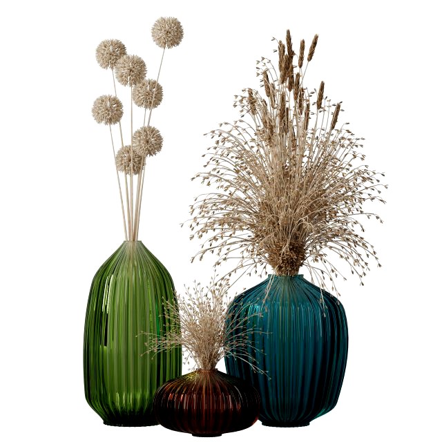 Decorative dried plants vol1