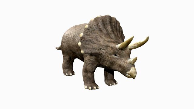 triceratops rigged