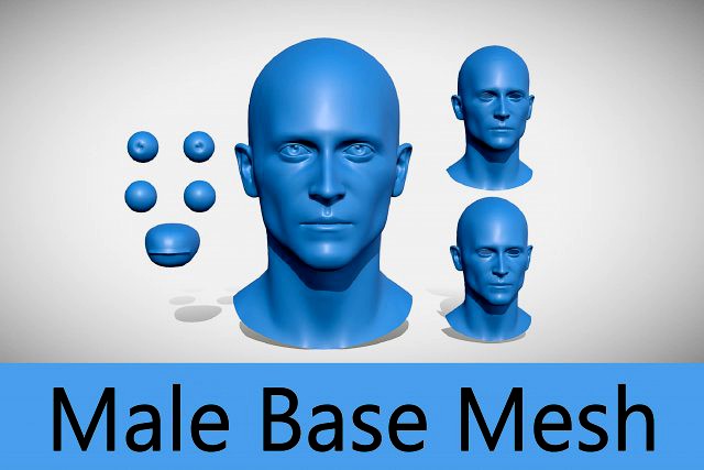 male base mesh