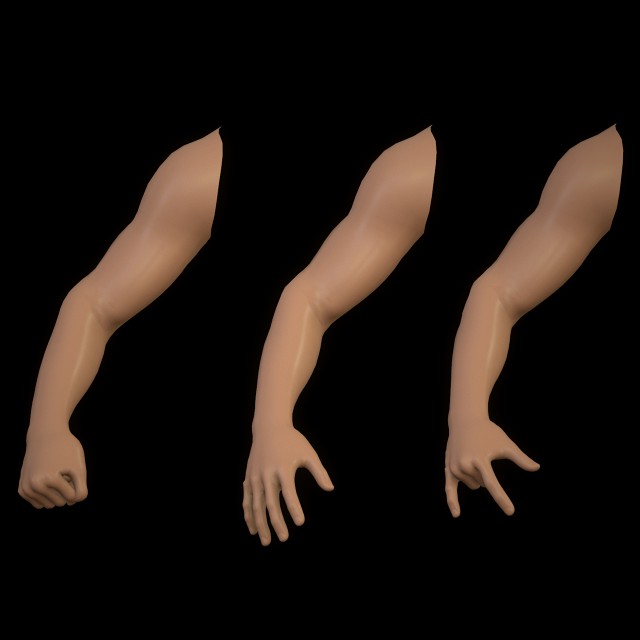 first person arms basemesh