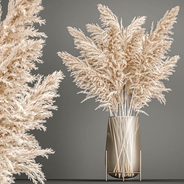 decorative bouquet of white dried pampas grass 203