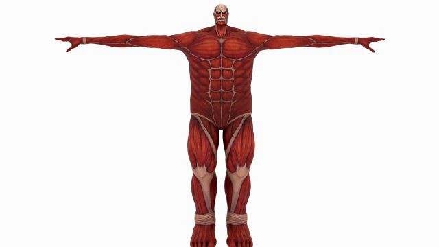 Colossal titan