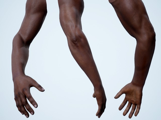 first person arms - 2