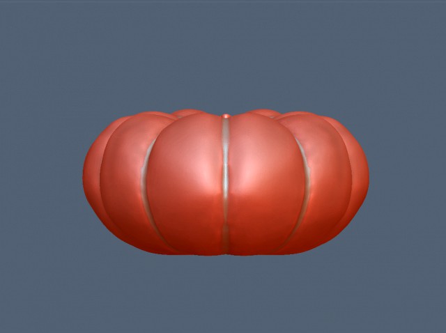 download stl format of pumpkin 3d drawing