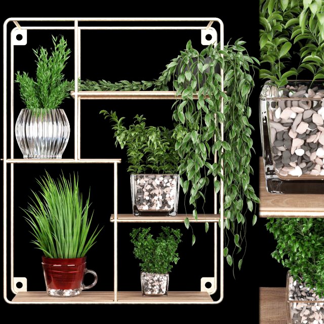 collection plant vol 122