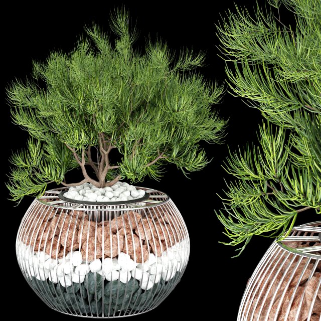 collection plant vol 136