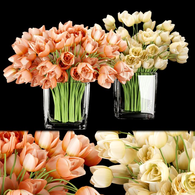 collection plant vol 114