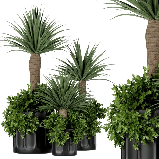 collection plant vol 108